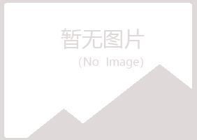 平舆县冰夏咨询有限公司